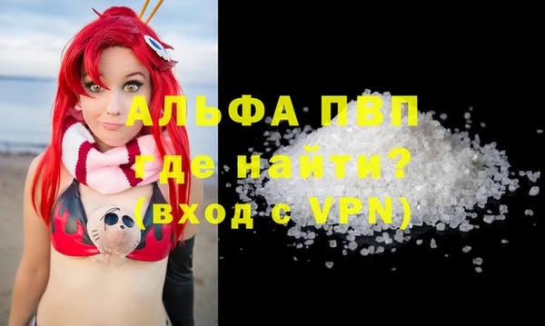 ГАЛЛЮЦИНОГЕННЫЕ ГРИБЫ Козловка