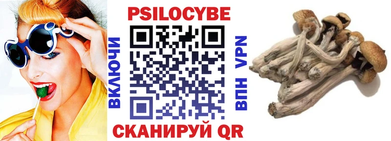Псилоцибиновые грибы GOLDEN TEACHER  Талица 